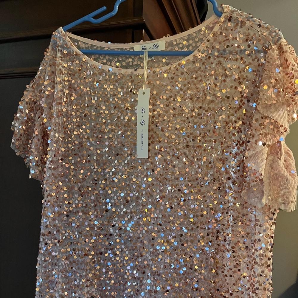 She Sky Blush Mesh Sequin Top